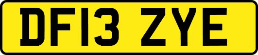 DF13ZYE