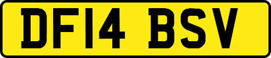 DF14BSV