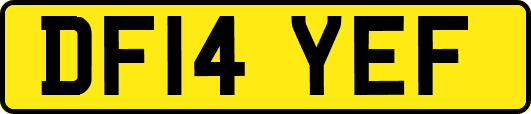 DF14YEF