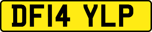 DF14YLP