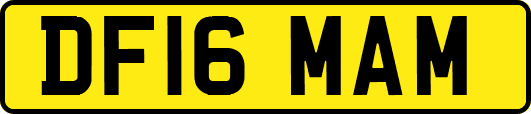 DF16MAM
