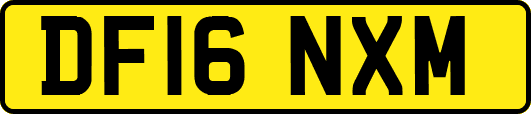 DF16NXM