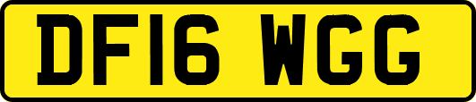 DF16WGG