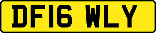 DF16WLY