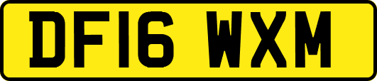DF16WXM