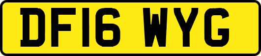 DF16WYG