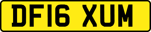 DF16XUM