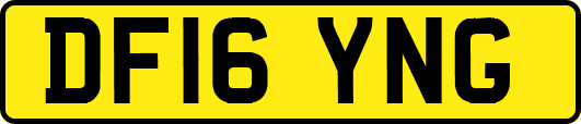 DF16YNG