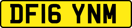 DF16YNM