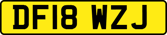 DF18WZJ