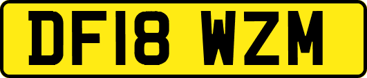 DF18WZM