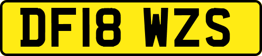 DF18WZS
