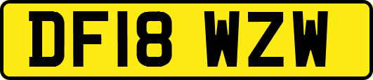 DF18WZW