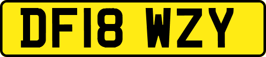 DF18WZY