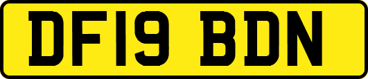 DF19BDN