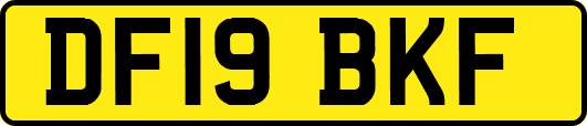 DF19BKF