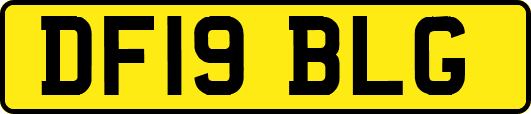 DF19BLG