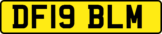 DF19BLM