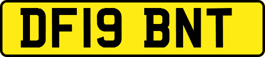 DF19BNT