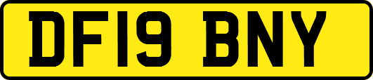 DF19BNY