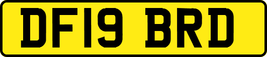 DF19BRD