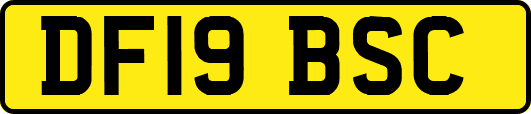 DF19BSC