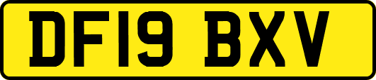 DF19BXV