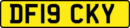 DF19CKY