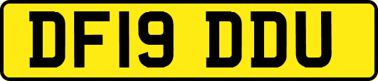 DF19DDU