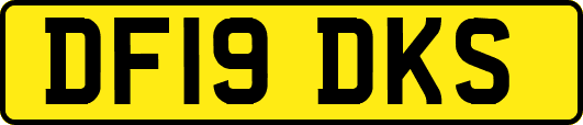 DF19DKS