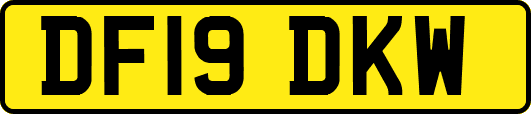 DF19DKW