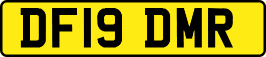 DF19DMR