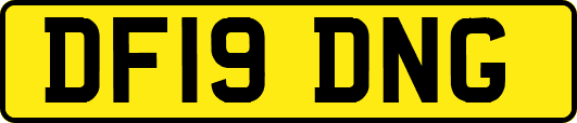 DF19DNG