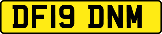 DF19DNM