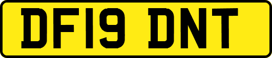 DF19DNT