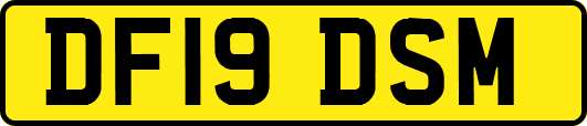 DF19DSM