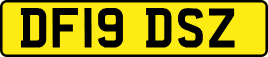 DF19DSZ