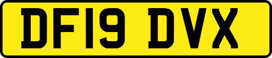 DF19DVX