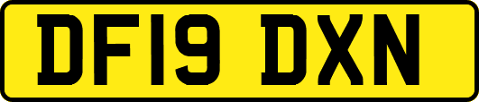DF19DXN