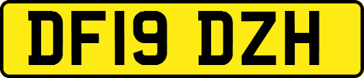 DF19DZH