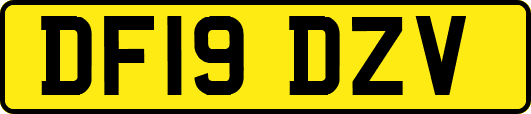 DF19DZV