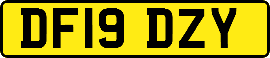 DF19DZY