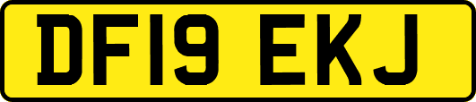 DF19EKJ