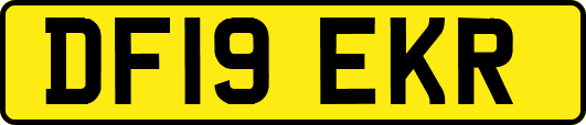 DF19EKR
