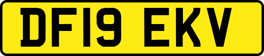 DF19EKV