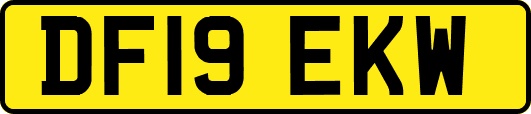 DF19EKW