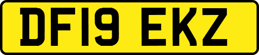 DF19EKZ