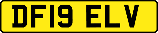 DF19ELV