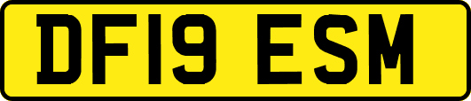 DF19ESM
