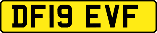 DF19EVF